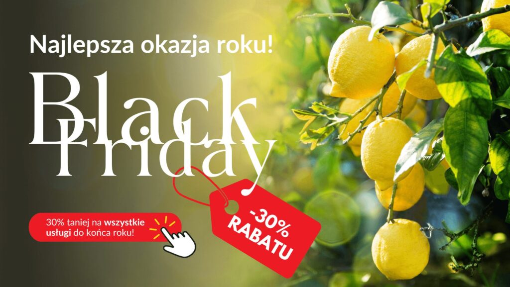 Agencja Limon Promocja na Black Friday